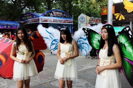 Beauty girls butterfly