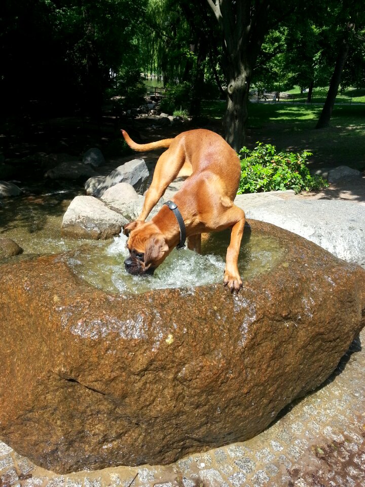 Play fountain park