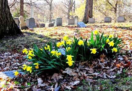 Graveyard cemetery