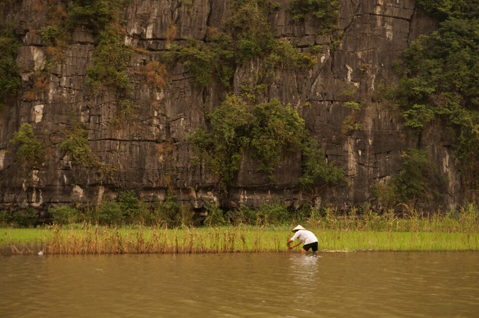 Rice fields man travel