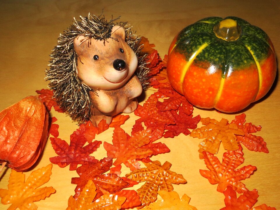 Decoration leaves orange