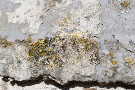Weathered lime plaster facade