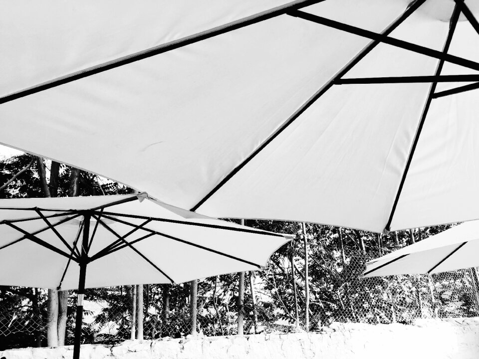 Black and white outdoor relax