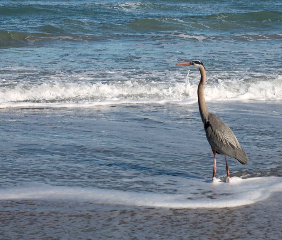 Ocean sea water