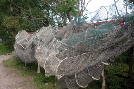 Fishing net fish traps fishing photo