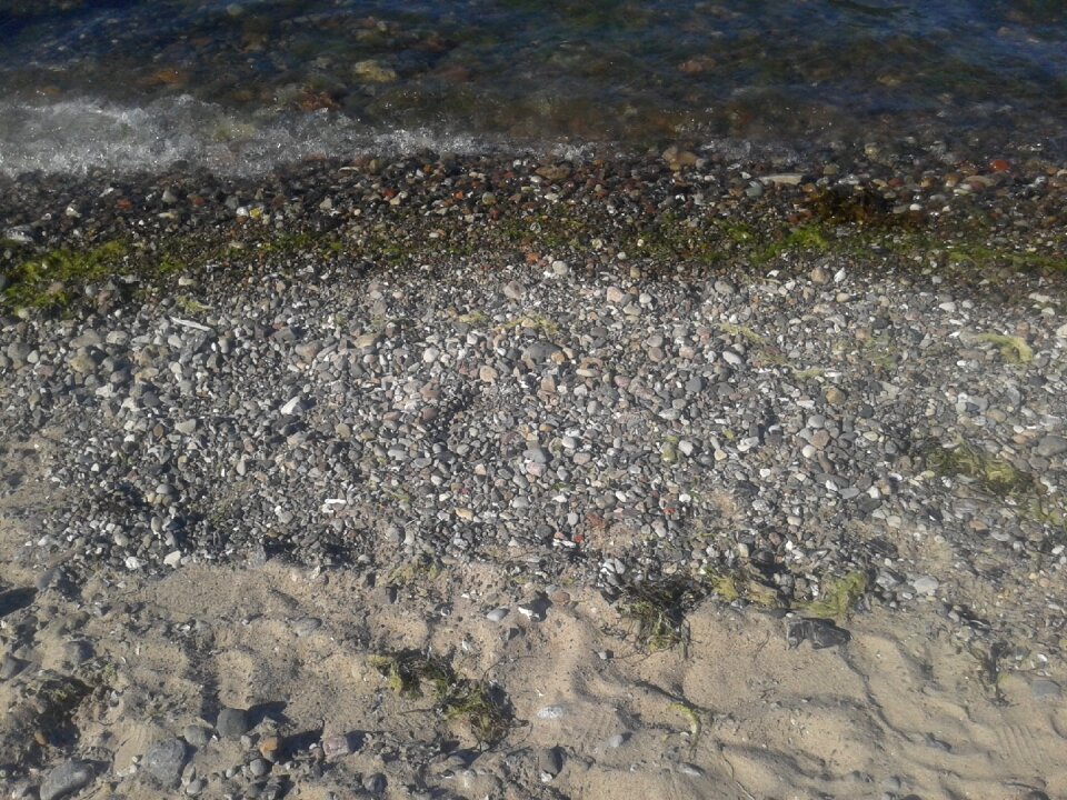 Sea beach stones