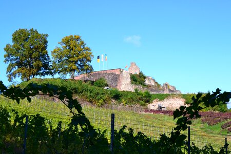 Castle ruin middle ages photo