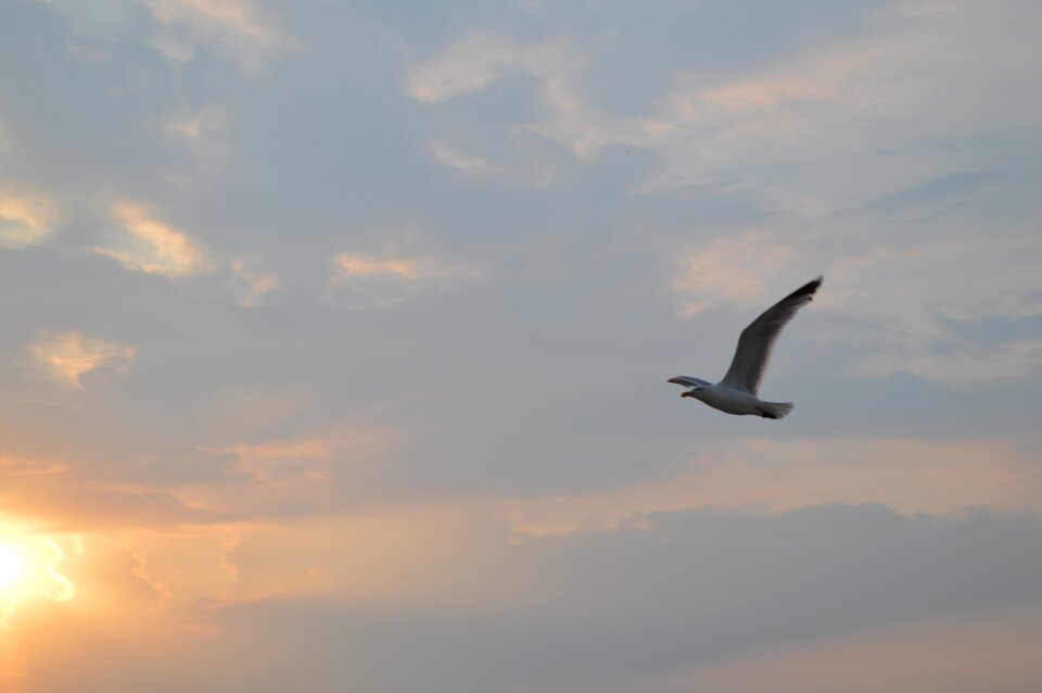 Sky sunset spiekeroog