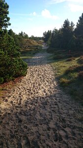 Hiking nature footprints