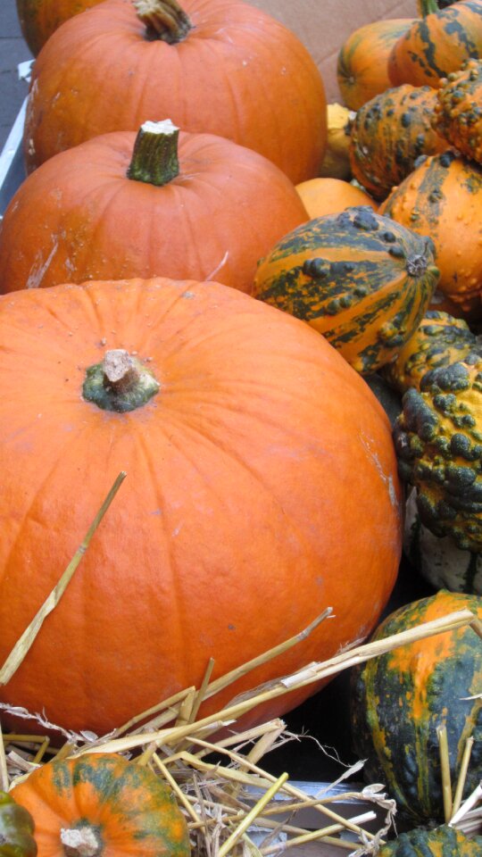 Autumn decoration autumn decoration