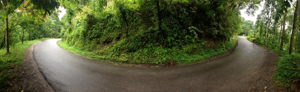 Landscape nature way