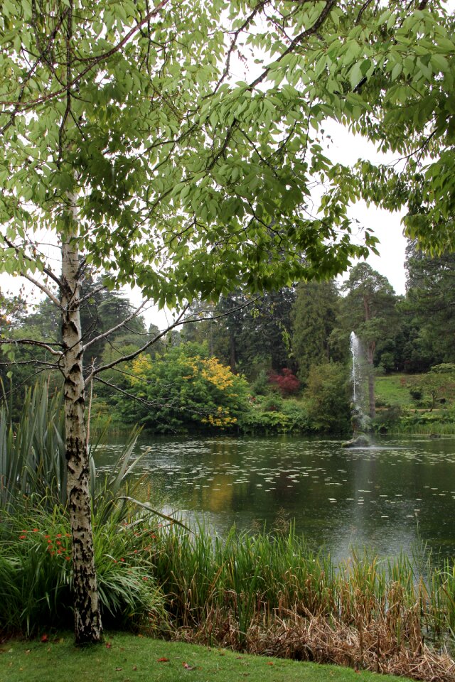 Grounds pond irish