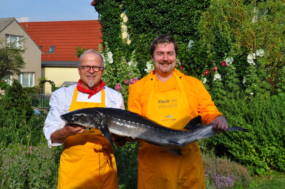 Fischkoch fish interference