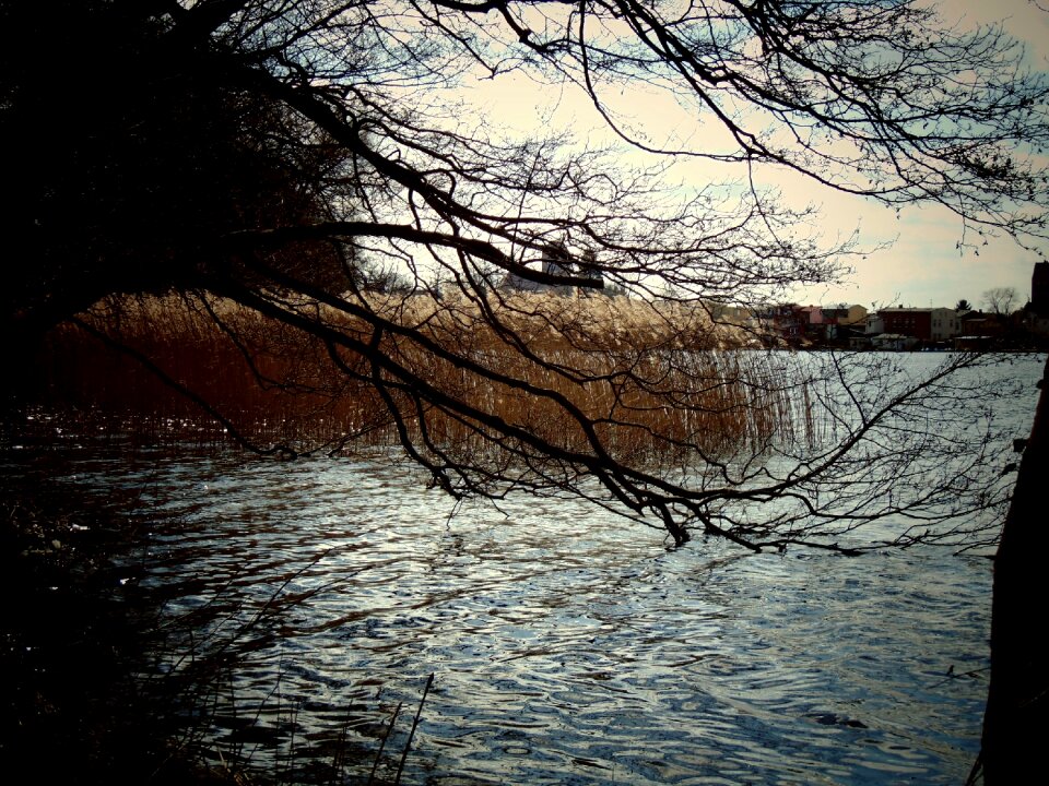 Waters bank autumn