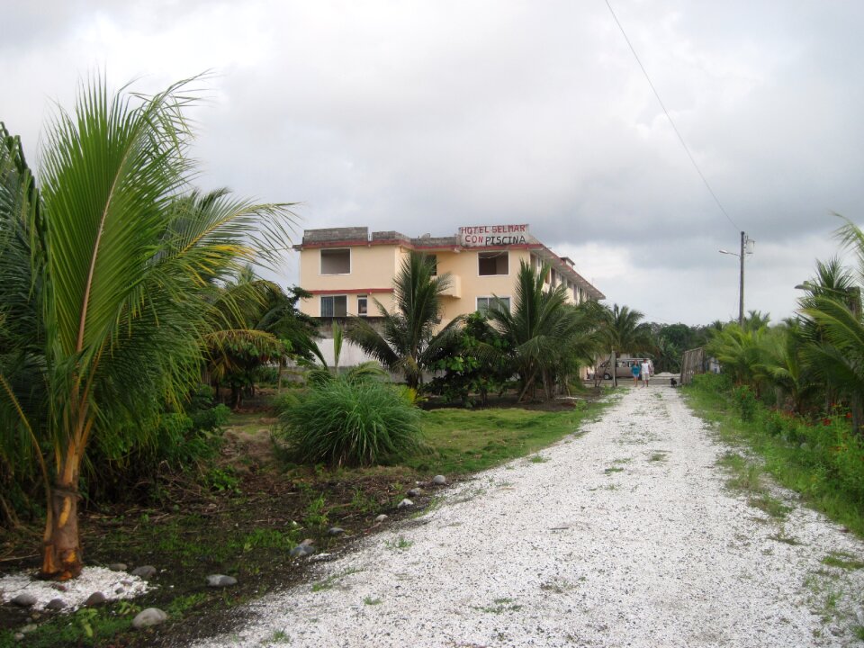 Landscape path trail