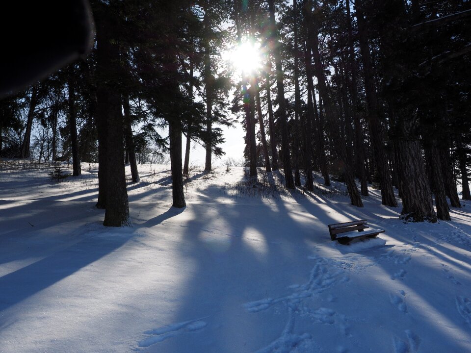 Shadow snow cold