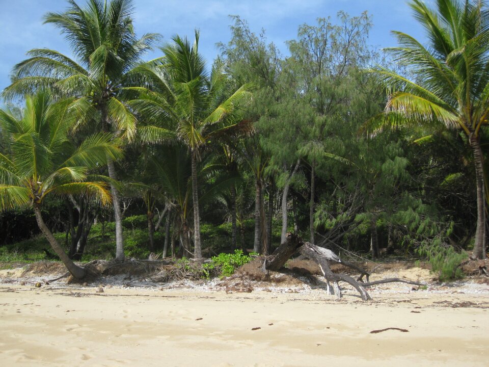 Sand port douglas vacation