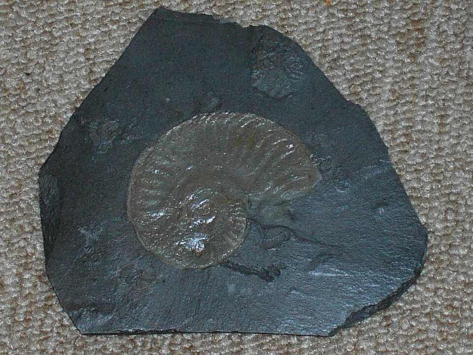 Stone nature prehistoric