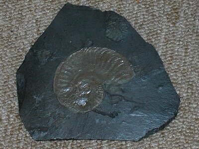 Stone nature prehistoric