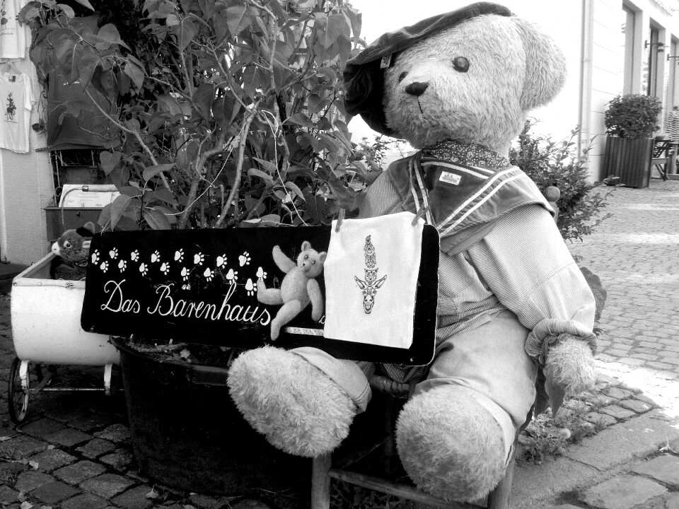 Bears soft toy stuffed animals