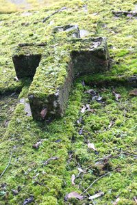 Paris moss sculpture