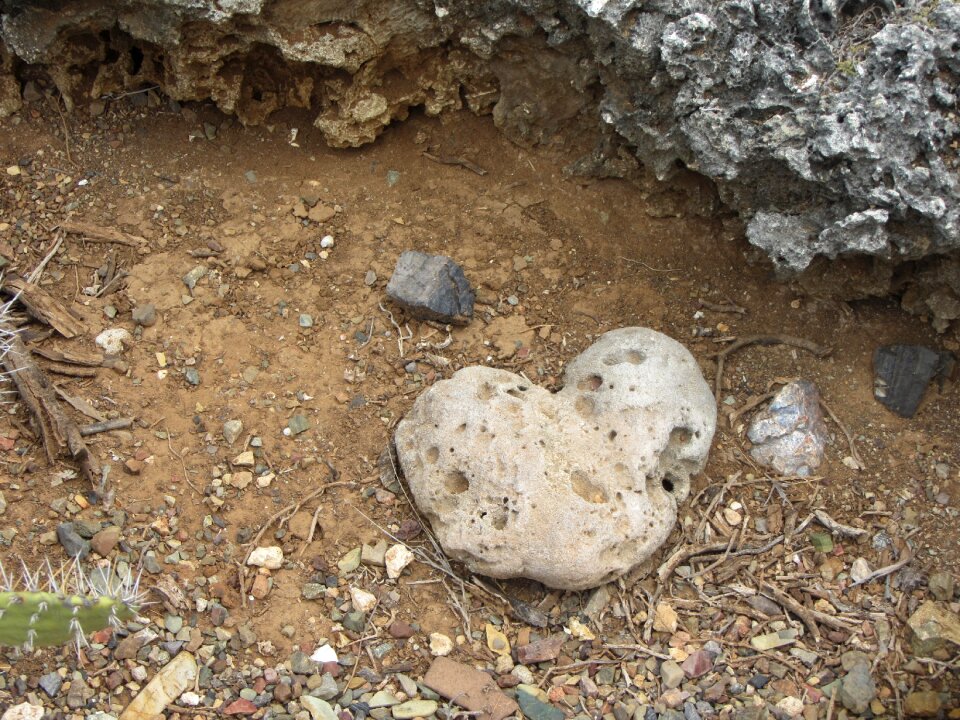 Nature ground heart shaped
