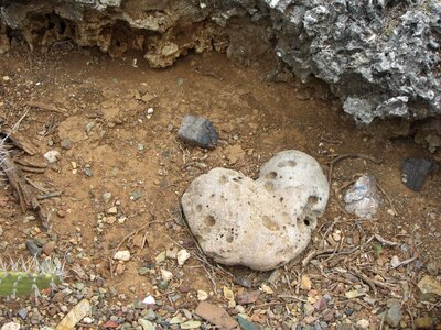 Nature ground heart shaped photo