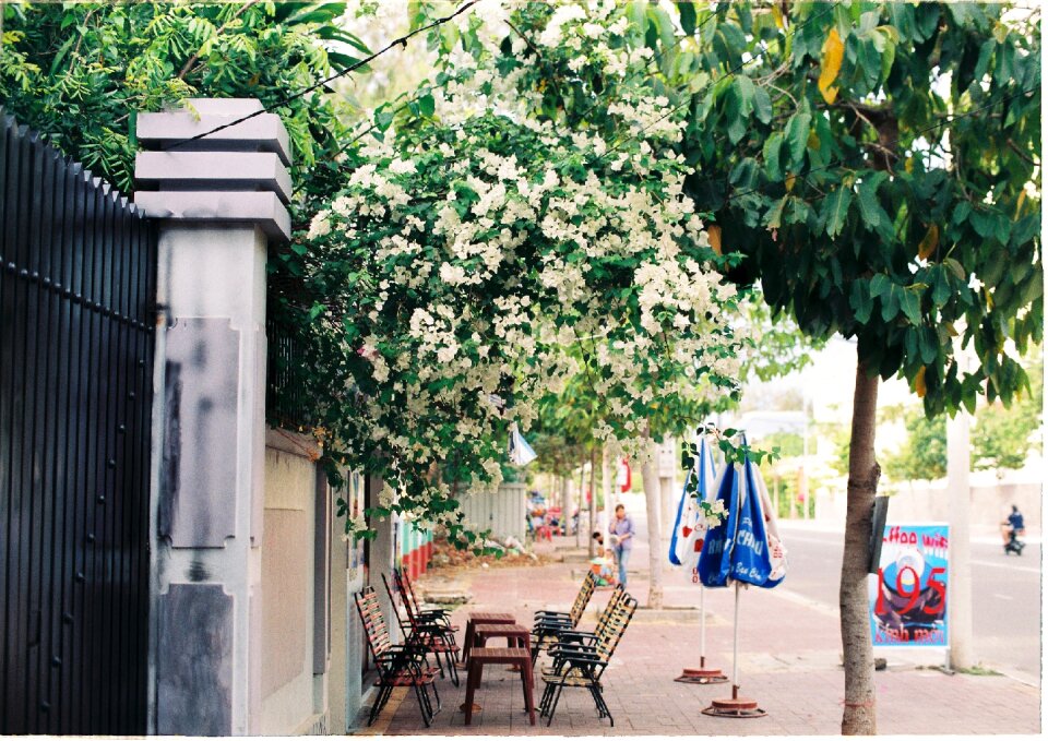 Street spring cafe