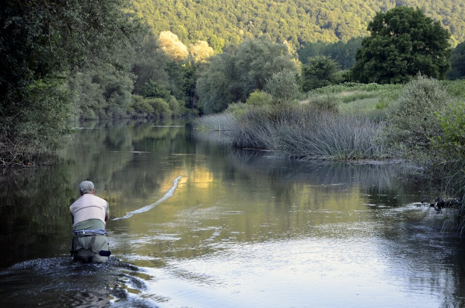 Fishing nature fauna