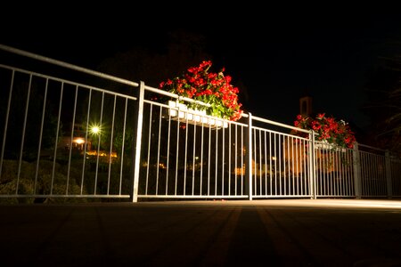 Night away flowerpot