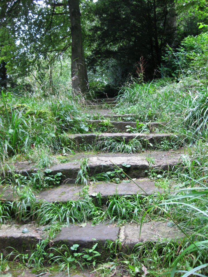 Nature stone stairway forest path