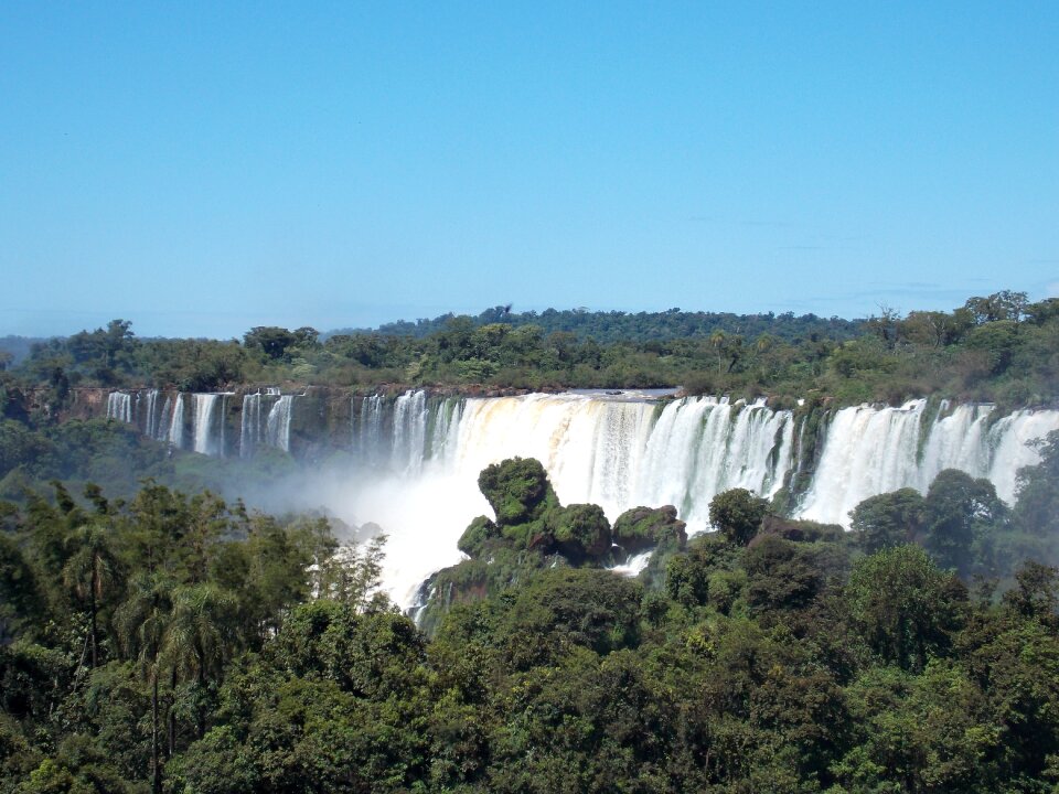 Jungle argentina landscape