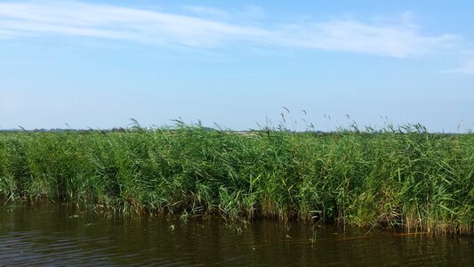 Polder nature noord-holland