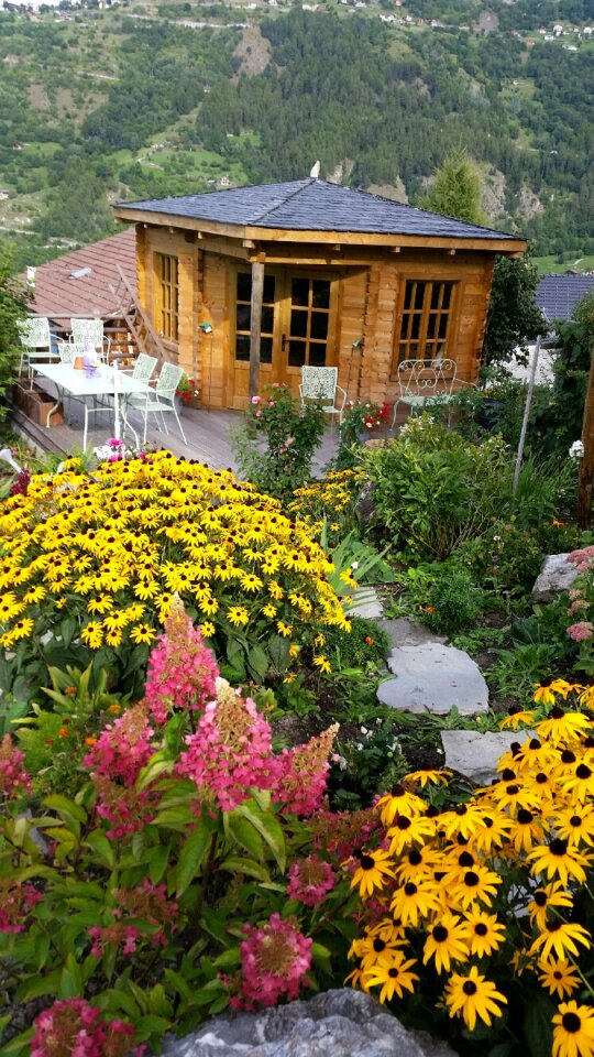 Yellow flowers wooden house