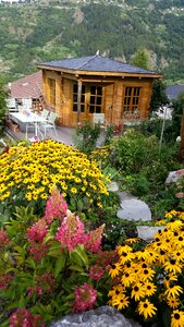 Yellow flowers wooden house