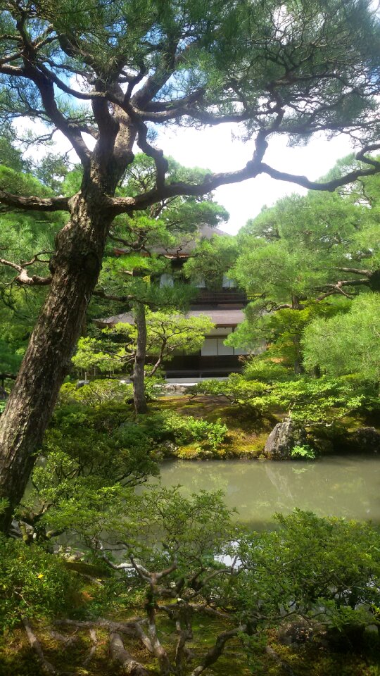 Landscape garden park