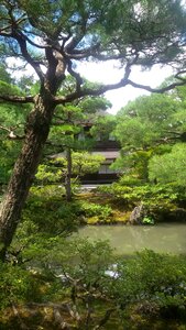 Landscape garden park