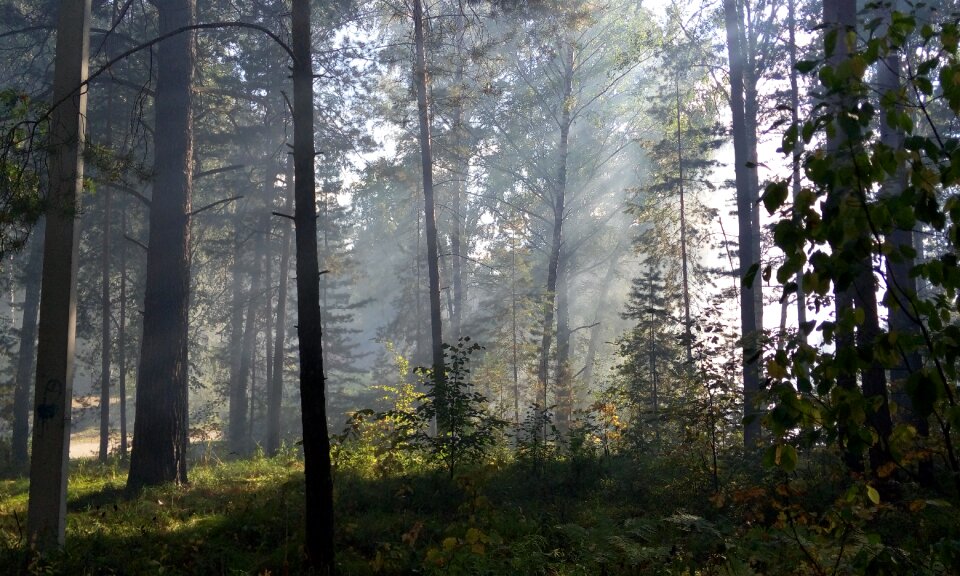 Day rays morning