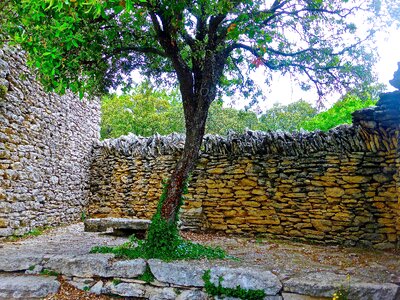 Wall tree peaceful