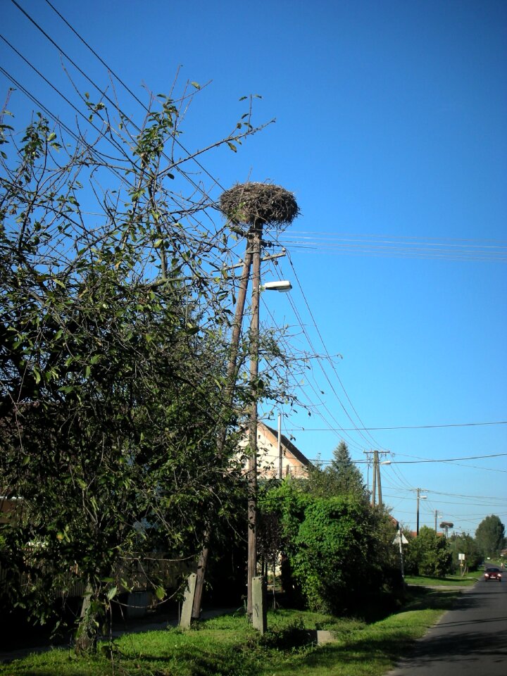 Countryside road