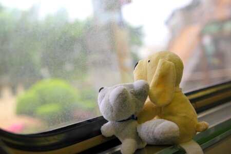 Cuteness toys window