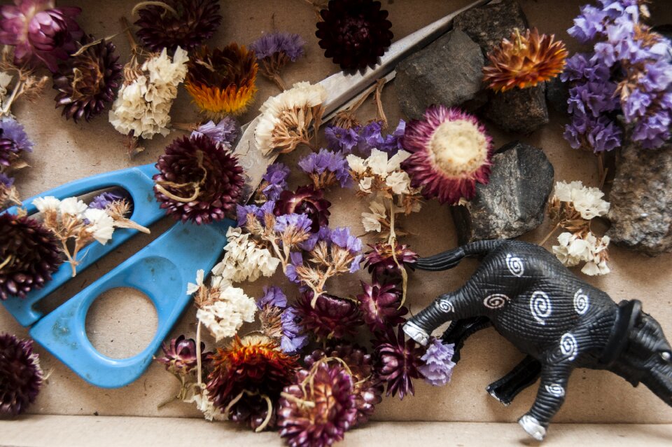 Creativity beauty do-it-yourself