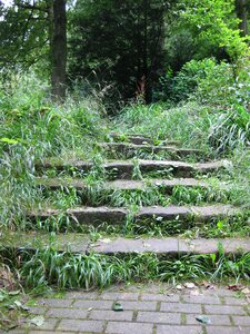 Nature stone stairway forest path photo