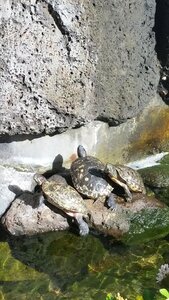 Water nature park
