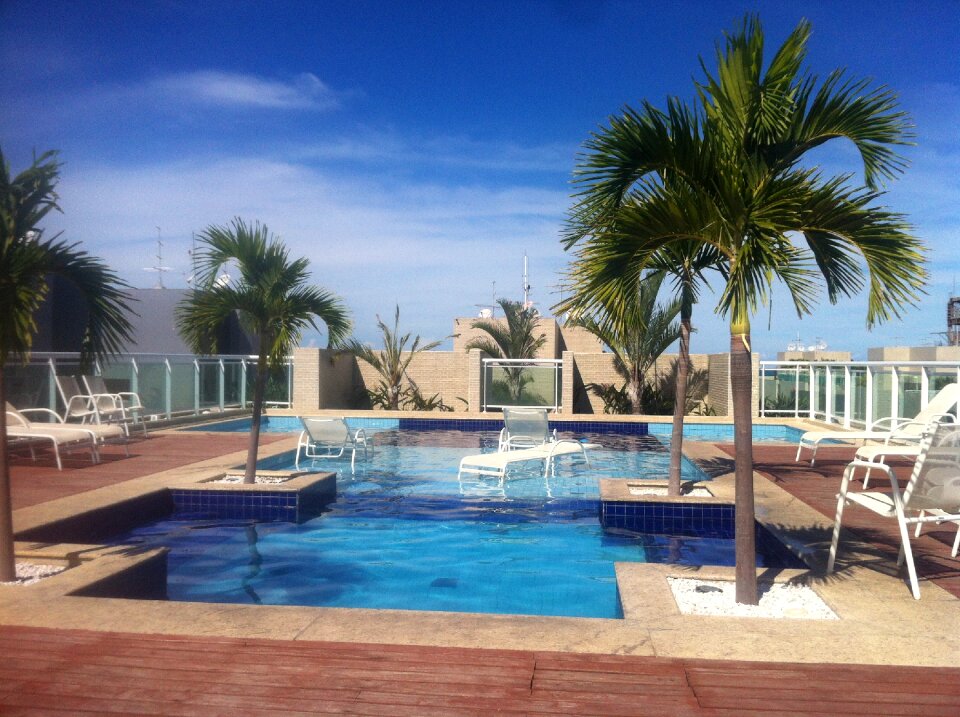 Pool palm tree exotic