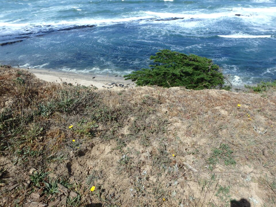 Ocean nature water