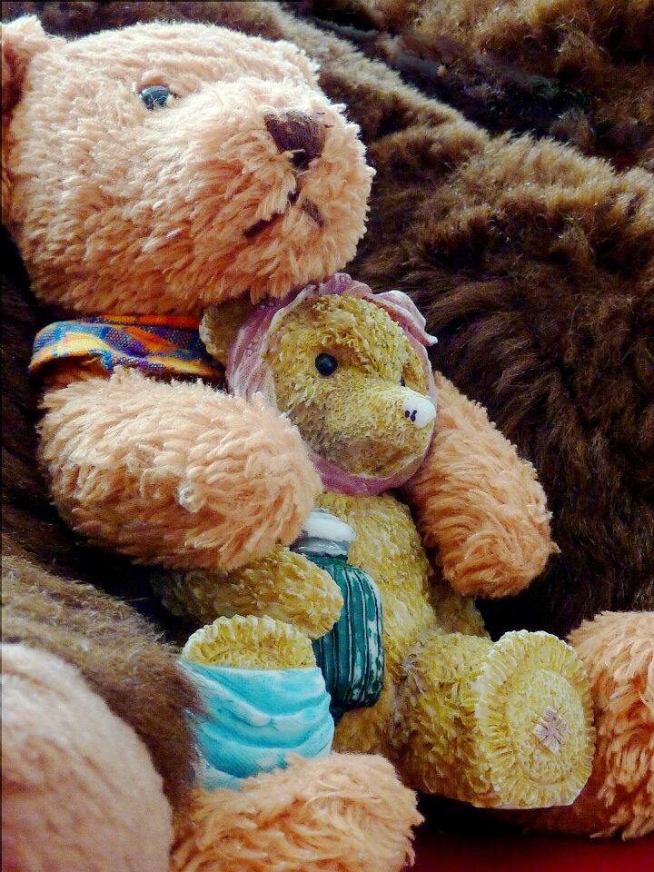Brown brown bear fur