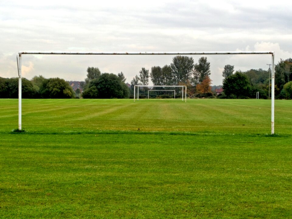 Grass the pitch goals