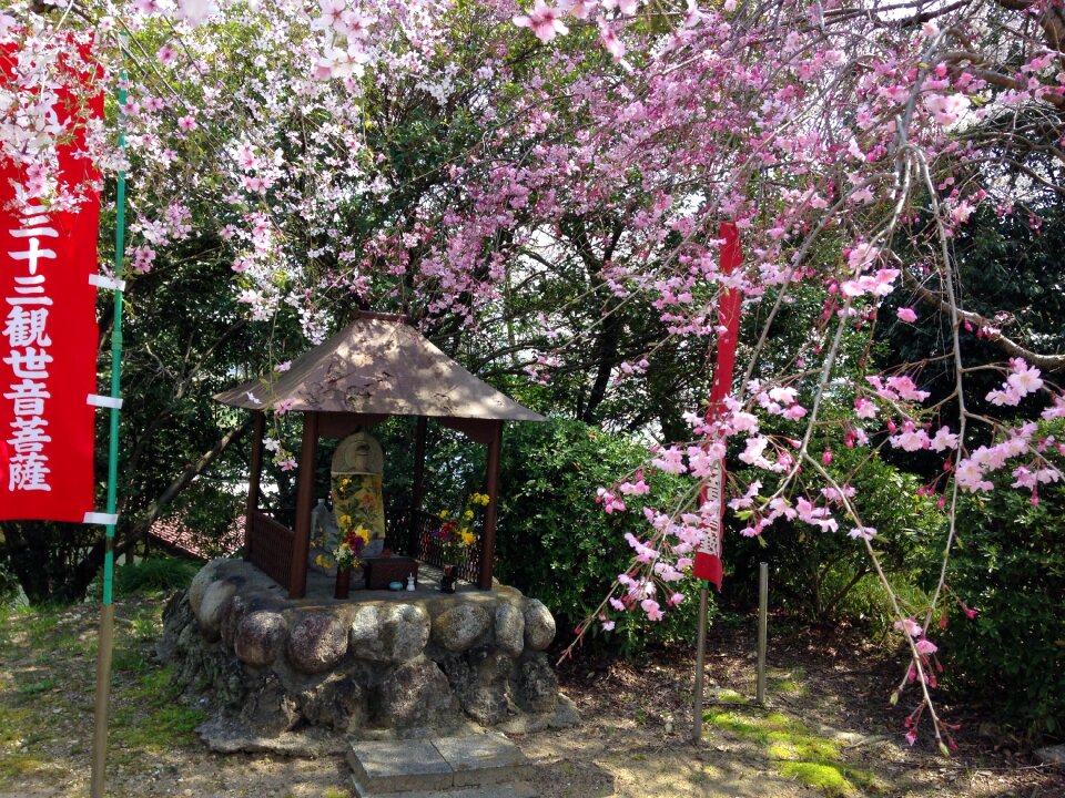 Flowers japan guardian deity of children