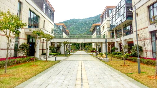 Xin hua business school central axis school